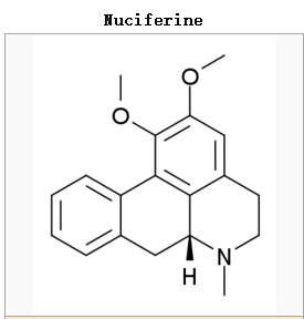 pure nuciferine lotus leaf extract 2&98 Cas.:475-83-2