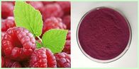Fructus Rubi P.E/Raspberry Extract 1%-15% Raspberry Ketone
