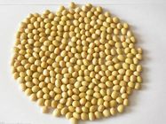 natural Soybean Phosphatidyl Serine PS,Soya Phosphatidylserine, Soybean Seed PS 20%50%