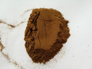 natural green lipped mussel powder for joint nutrition and care