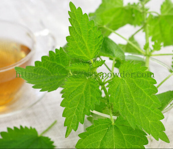 Silica Root Extract powder