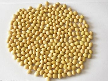 PS phosphatidyl serine 20% (improve brain function & cognitive ability) Cas #.: 8002-43-5