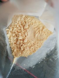 Radix Notoginseng P.E,Radix Notoginseng Extract,Radix Notoginseng Extract Powder