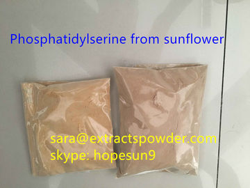 phosphatidylserine powder PS from sunflower seed cas. 55947-46-1