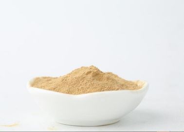 polyporus umbellatus powder, polyporus umbellatus extract, polyporus polysaccharides