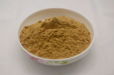 Glossy Privet Fruit Extract, Glossy Privet Fruit Extract Powder, Ligustrum Lucidum Fruit Extract