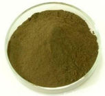 Fucus extract,Fucus extract powder,Fucus vesiculosus extract,Bladderwrack Extract