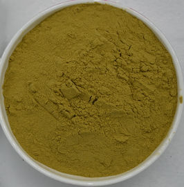 Cichoric Acid 4%HPLC (CAS No.: 70831-56-0),Polyphenols 4%UV,Echinacea Extract powder