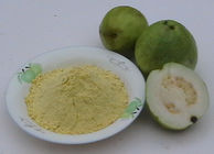 Guava fruit powder,Guava powder,Guava Extract,Guava Fruit Extract,Guava Leaf Extract,