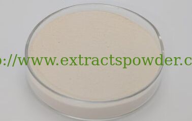 Ceramide Rice Bran Extract, Phytoceramides, Ceramide Rice Shell Extract, liposomal ceramide Cas. 104404-17-3