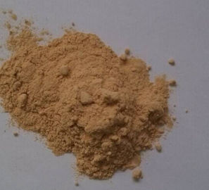 brewer yeast, brewer yeast powder, beer yeast powder food/feed grade