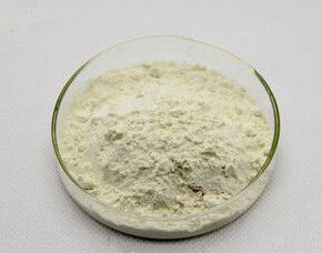 Natural soybean Peptide,soybean Peptide powder,soy Peptide,soya Peptide 99%