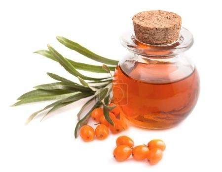 seabuckthorn oil, seabucktorn seed oil, seabuckthorn fruit oil, seabuckthorn concentrate