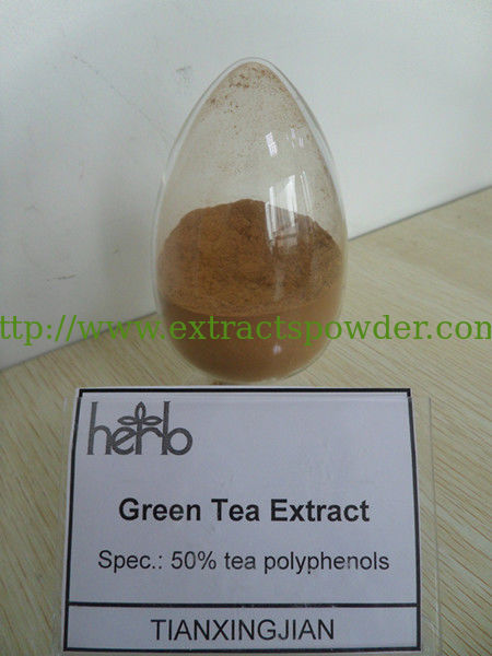 Green Tea Extract,Camellia sinensis,Polyphenol 98%,Catechins 80%,EGCG 60%,Caffeine 0.5%