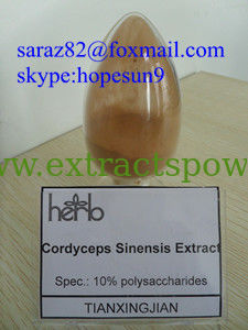 Chinese Herbal Extract Cordyceps Sinensis Extract 10%Polysaccharides