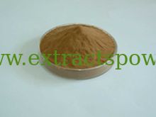 Artichoke Extract Cynarin 2.5% & 5% HPLC  cas. no.:30964-13-7