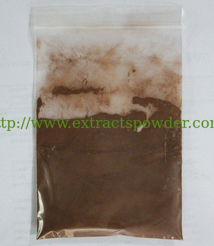 Grape Seed Extract 95%Proanthocyanidin (OPC)