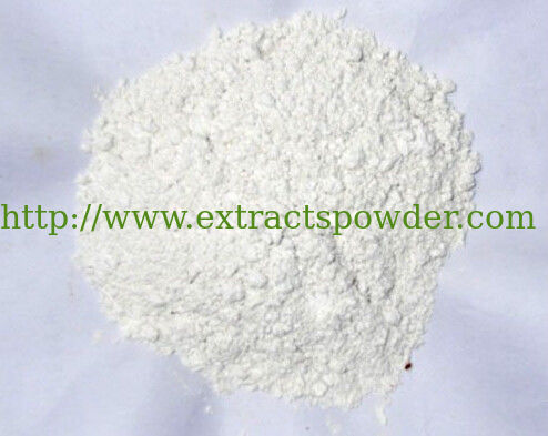natural Allicin/Garlicin Powder cas. 539-86-6