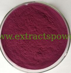 100% Natural Cranberry Extract,Cranberry Fruit Extract,Cranberry Fruit Extract Powder