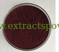 Aronia Chokeberry Extract 25% Anthocyanidin Anti-oxidant