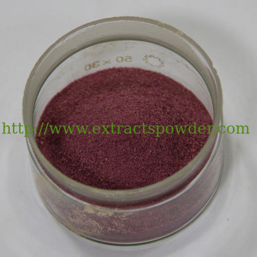 grape seed P.E./Vitis vinifera L./grapestone extract/CAS No: 84929-27-1