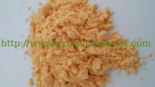 Carrot Juice Concentrate/Carrot Powder