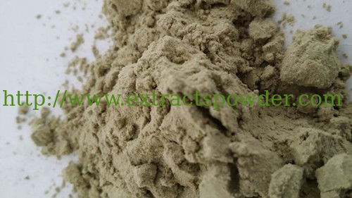 Natural water-soluble Spinach Extract Powder/Spray Drying Spinach Powder