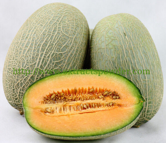 hami melon extract, cantaloupe extract, hami melon powder for beverages