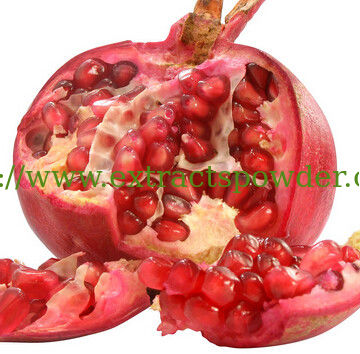 100% water-soluble Pomegranate Fruit/Seed Powder