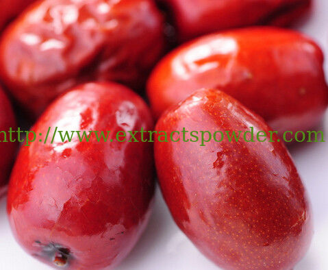 pure natural Chinese Red Dates Powder,Red Jujube Powder