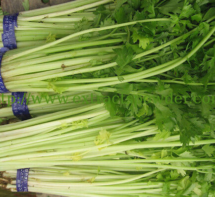 pure natural Celery Powder