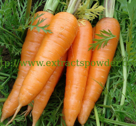 natural Carrot Juice Powder/Carrot Powder