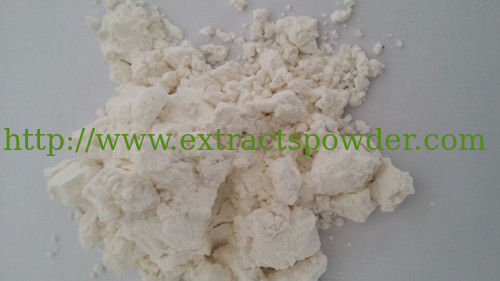 spray dried onion powder/100% water-soluble