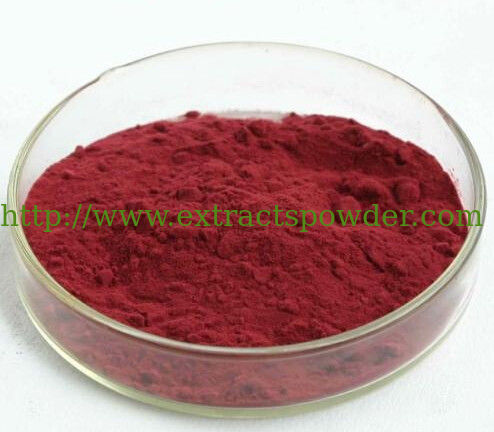 Antioxidant Vaunium Macrocarpon Extract/Cranberry Extract Proanthocyanidins 5%-70% UV