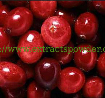 Cranberry Extract CAS No: 4852-22-6