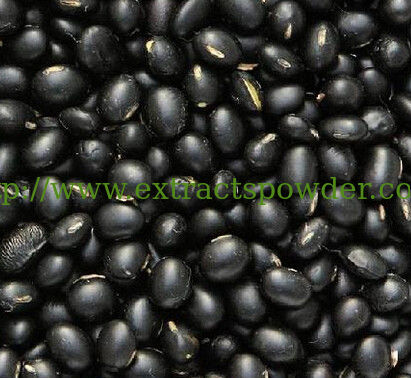 Black Soybean Peel Extract,Black Soybean Peel Extract Powder,Black Soybean Peel P.E.