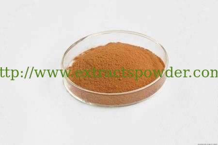 Fo-Ti Extract,Fo-Ti Extract Powder,Polygonum Multiflorum Extract