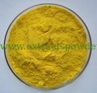 Rosemary Extract, carnosic acid,carnosic acid powder Cas. No.:3650-09-7