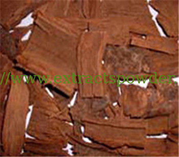Pygeum Africanum Extract 2.5%~15% sterols Cas No:83-46-5
