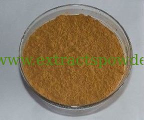 Devil's Claw Extract Harpagoside CAS NO 19210-12-9