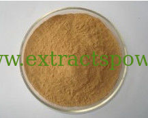 Dioscorea Nipponica Extract,Dioscorea Nipponica Extract Powder,Dioscorea Nipponica P.E.