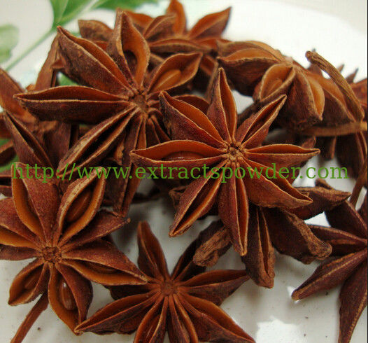 98% Shikimic Acid,Star anise extract,Star anise extract powder,Star anise P.E.