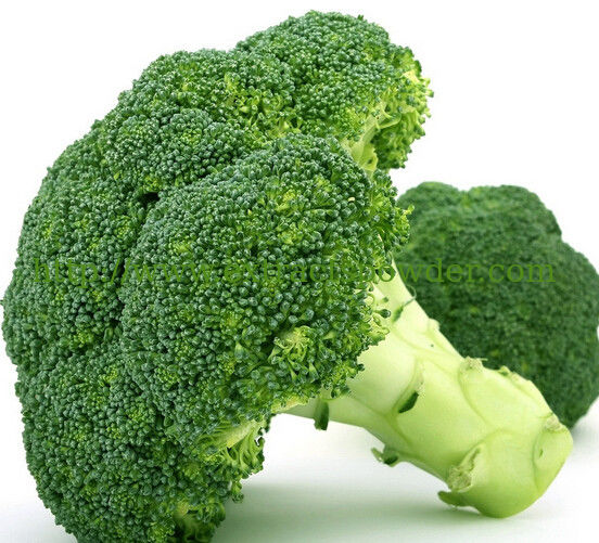 Broccoli Extract, Broccoli Sprout Extract, Sulforaphane 0.5%-98%