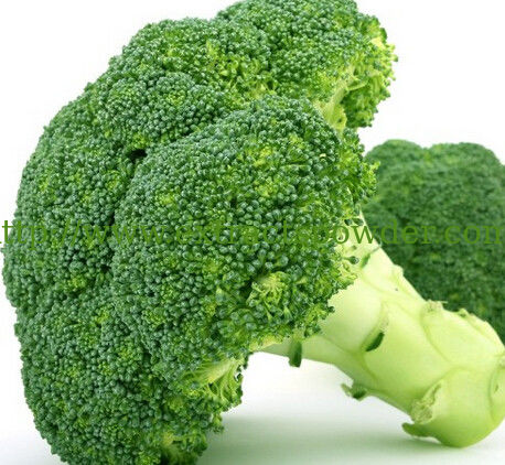 Cauliflower extract/Broccoli Extract/Sulforaphane Glucosinolate CAS No.:21414-41-5