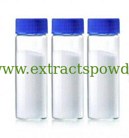 99% Coluracetam,oxiracetam,noopept powders,aniracetam,aniracetam powder