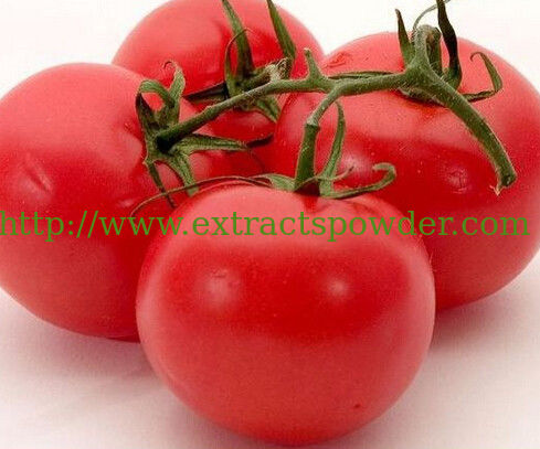 5%6%10% lycopene oil,tomato extract Cas: 502-65-8