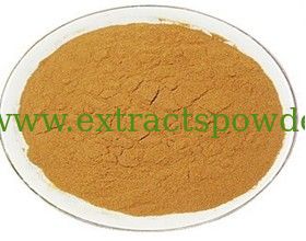 Gymnema Sylvestre P.E.,Gymnema P.E.,Gurmar Extract powder,Gymnemic Acid Cas 90045-47-9