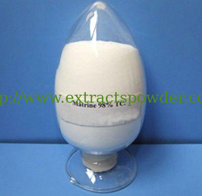 Oxymatrine,Oxymatrine powder,Sophora flavescens extract CAS No 16837-52-8