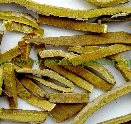 Amoorcom Tree Bark Extract,Amur cork tree Bark Extract , cork tree Bark Extract  10:1