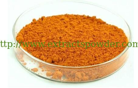 Macleaya Cordata Extract 60%Sanguinarine Cas.:2447-54-3
